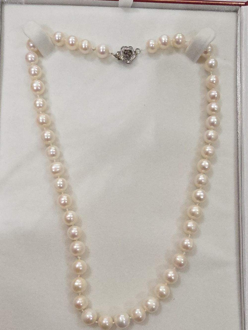Classic Ivory Cultures Pearl Necklace with Silver 925 Flower Clasp .